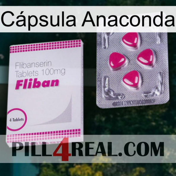 Cápsula Anaconda 32.jpg